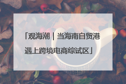 观海潮｜当海南自贸港遇上跨境电商综试区