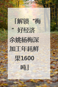 解锁“梅”好经济 余姚杨梅深加工年耗鲜果1600吨