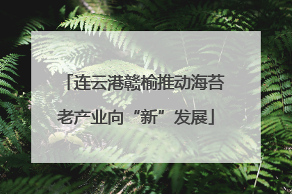 连云港赣榆推动海苔老产业向“新”发展