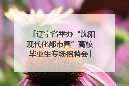 辽宁省举办“沈阳现代化都市圈”高校毕业生专场招聘会