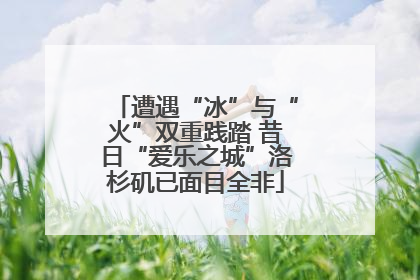 遭遇“冰”与“火”双重践踏 昔日“爱乐之城”洛杉矶已面目全非