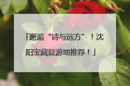 邂逅“诗与远方”！沈阳宝藏夏游地推荐！