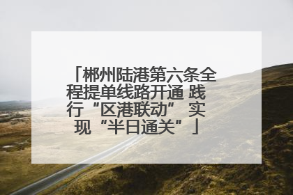 郴州陆港第六条全程提单线路开通 践行“区港联动” 实现“半日通关”