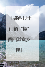 郧西县土门镇“椒”香四溢富乡民