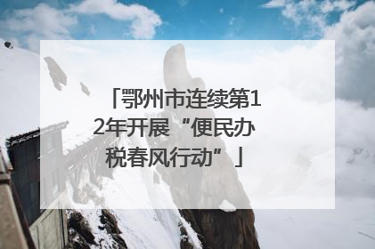 鄂州市连续第12年开展“便民办税春风行动”