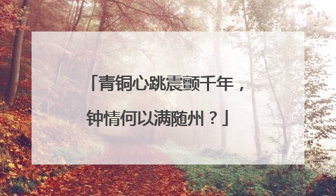 青铜心跳震颤千年，钟情何以满随州？