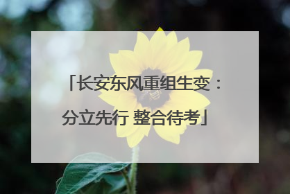 长安东风重组生变：分立先行 整合待考