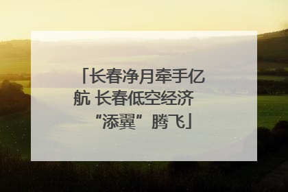 长春净月牵手亿航 长春低空经济“添翼”腾飞