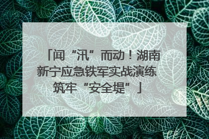 闻“汛”而动！湖南新宁应急铁军实战演练筑牢“安全堤”