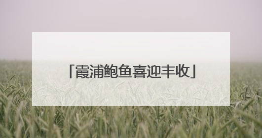 霞浦鲍鱼喜迎丰收