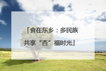 食在东乡：多民族共享“杏”福时光