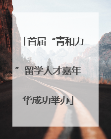 首届“青和力”留学人才嘉年华成功举办