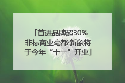 首进品牌超30% 非标商业亳都·新象将于今年“十一”开业