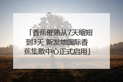 香蕉催熟从7天缩短到3天 新发地国际香蕉集散中心正式启用