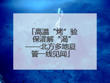 高温“烤”验 保灌解“渴”——北方多地夏管一线见闻