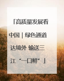 高质量发展看中国｜绿色通道达境外 输送三江“一口鲜”