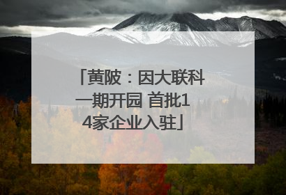 黄陂：因大联科一期开园 首批14家企业入驻