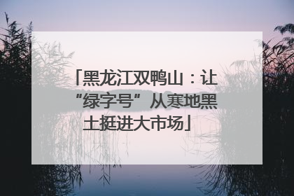黑龙江双鸭山：让“绿字号”从寒地黑土挺进大市场