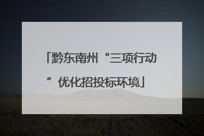 黔东南州“三项行动”优化招投标环境
