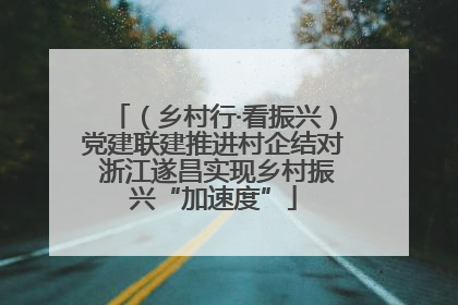（乡村行·看振兴）党建联建推进村企结对 浙江遂昌实现乡村振兴“加速度”