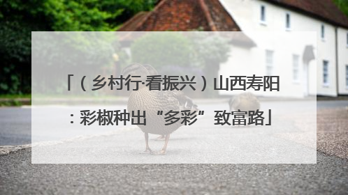 （乡村行·看振兴）山西寿阳：彩椒种出“多彩”致富路