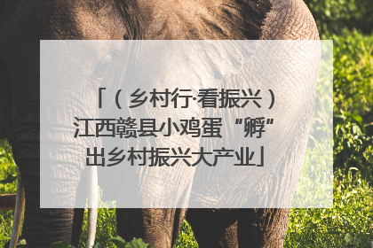 （乡村行·看振兴）江西赣县小鸡蛋“孵”出乡村振兴大产业