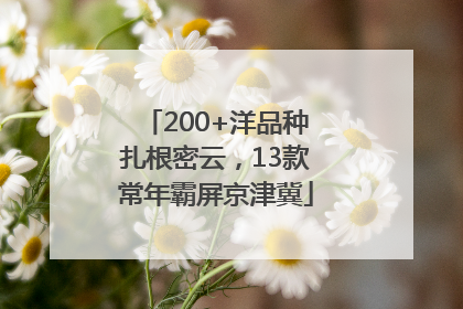 200+洋品种扎根密云，13款常年霸屏京津冀