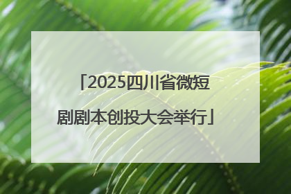2025四川省微短剧剧本创投大会举行