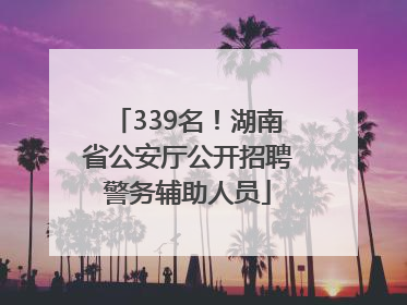 339名！湖南省公安厅公开招聘警务辅助人员