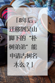 8年后，迁移到吴山脚下的“朴树弟弟”能申请古树名木么？