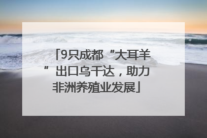 9只成都“大耳羊”出口乌干达，助力非洲养殖业发展