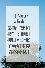 Neuralink最新“黑科技”：脑机接口可让猴子看见不存在的物体